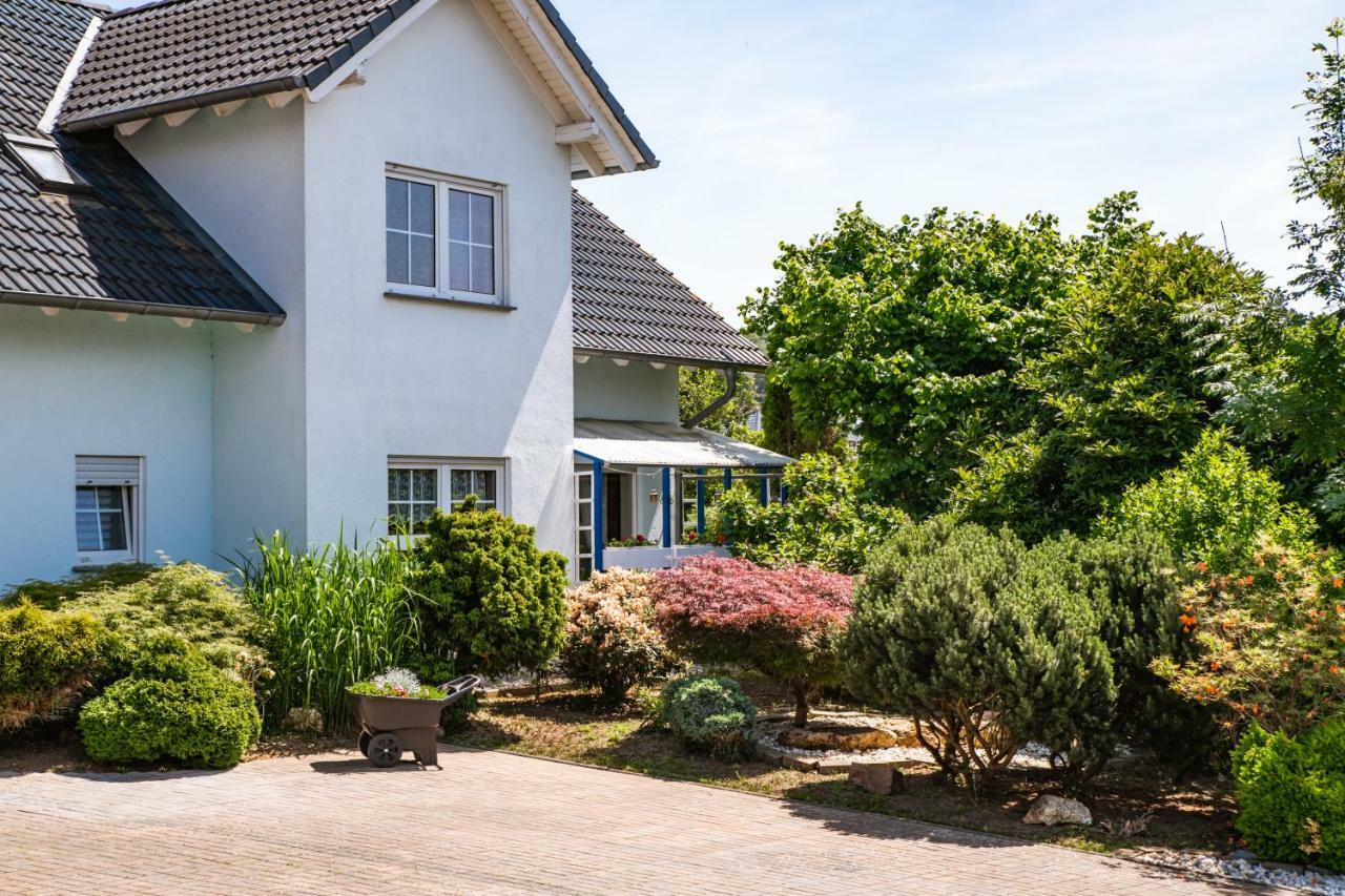 Das Blaue Haus Daufenbach Exteriér fotografie